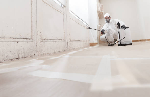 24/7 Emergency Basement Mold Remediation experts in Bealeton, VA
